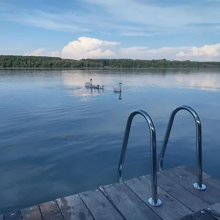 Bora Kuce Na Reci בית נופש בלגרד