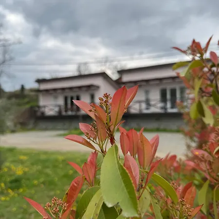 度假居 Bora Kuce Na Reci 贝尔格莱德