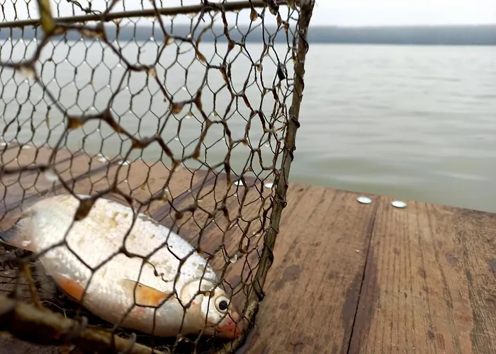 Bora Kuce Na Reci 贝尔格莱德