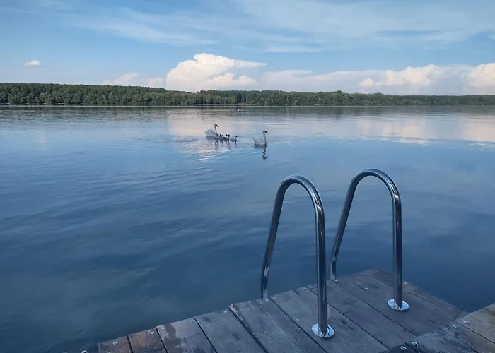 Bora Kuce Na Reci 펜션 베오그라드