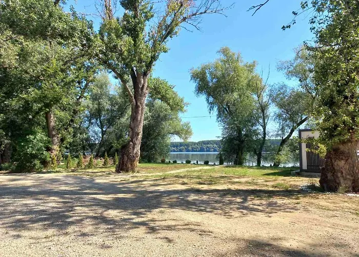 Bora Kuce Na Reci * 베오그라드