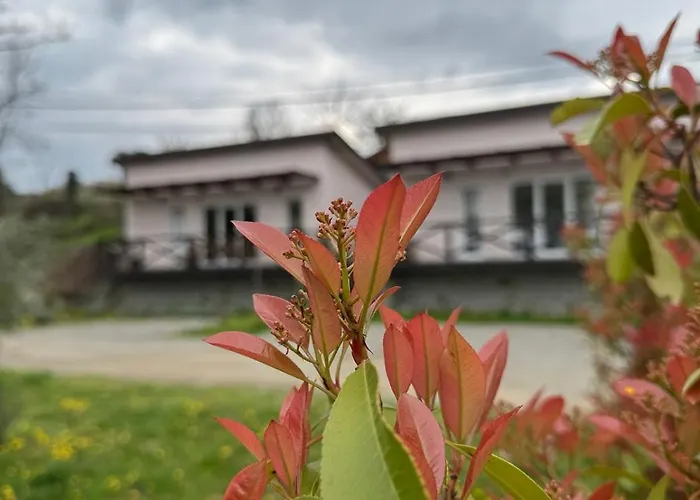 度假居 Bora Kuce Na Reci 贝尔格莱德