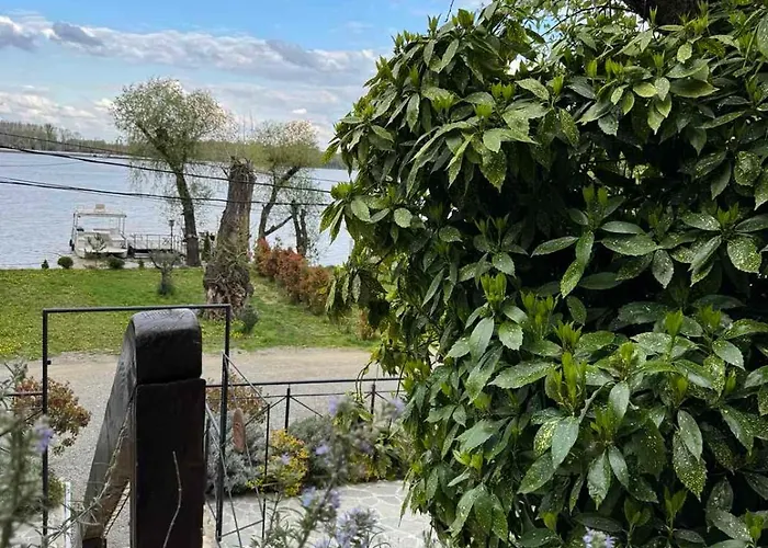 펜션 Bora Kuce Na Reci 베오그라드